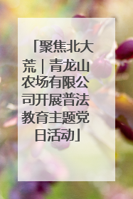 聚焦北大荒｜青龙山农场有限公司开展普法教育主题党日活动